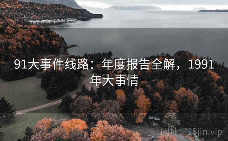 91大事件线路：年度报告全解，1991年大事情  第1张