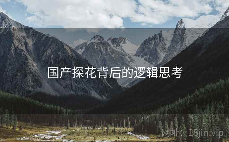 国产探花背后的逻辑思考  第1张