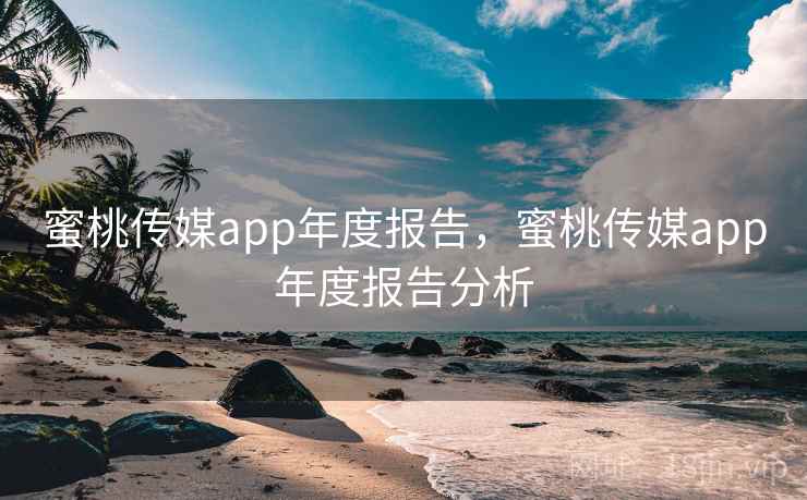 蜜桃传媒app年度报告，蜜桃传媒app年度报告分析  第2张