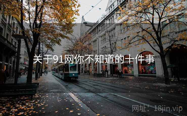 关于91网你不知道的十件事  第1张