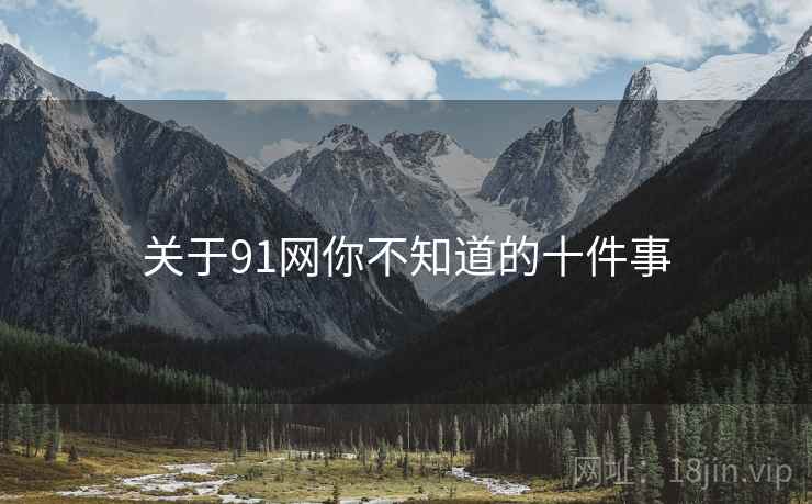 关于91网你不知道的十件事  第2张