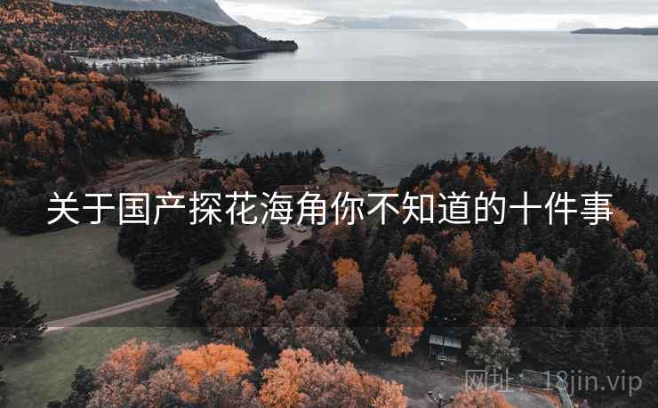关于国产探花海角你不知道的十件事  第1张