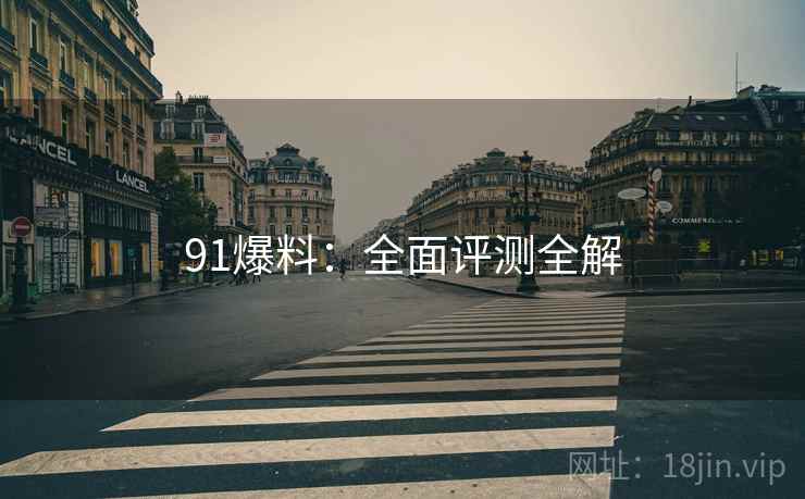 91爆料：全面评测全解  第2张