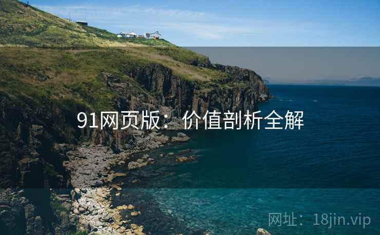91网页版：价值剖析全解  第1张