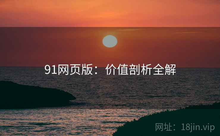 91网页版：价值剖析全解  第2张