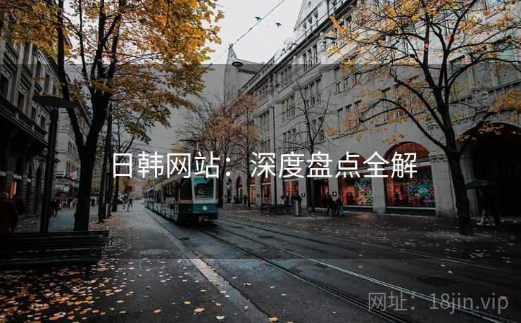 日韩网站：深度盘点全解  第1张