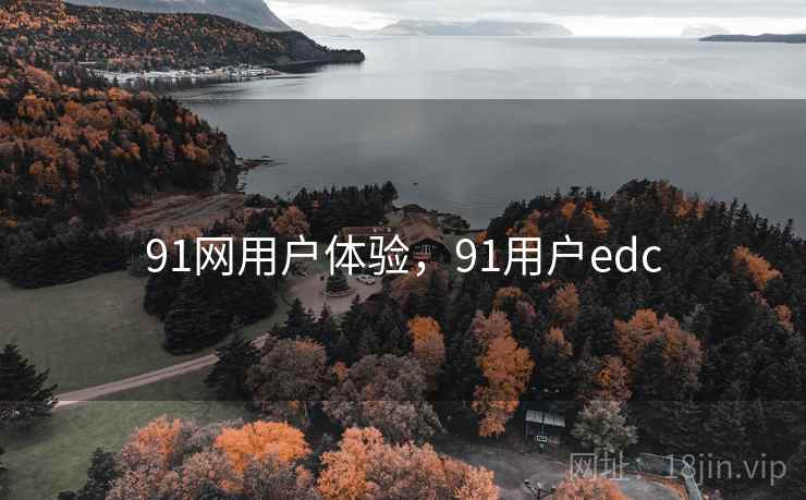 91网用户体验，91用户edc  第2张