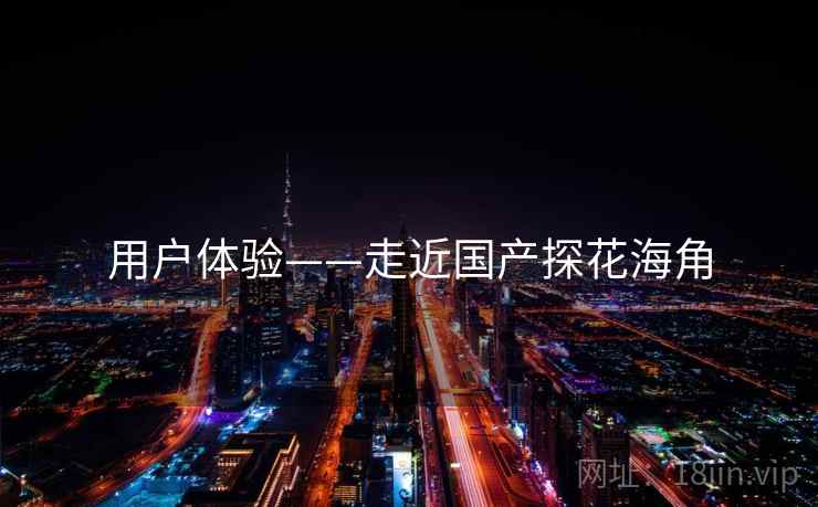 用户体验——走近国产探花海角  第1张