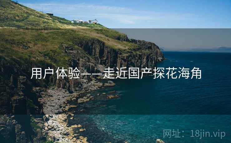 用户体验——走近国产探花海角  第2张