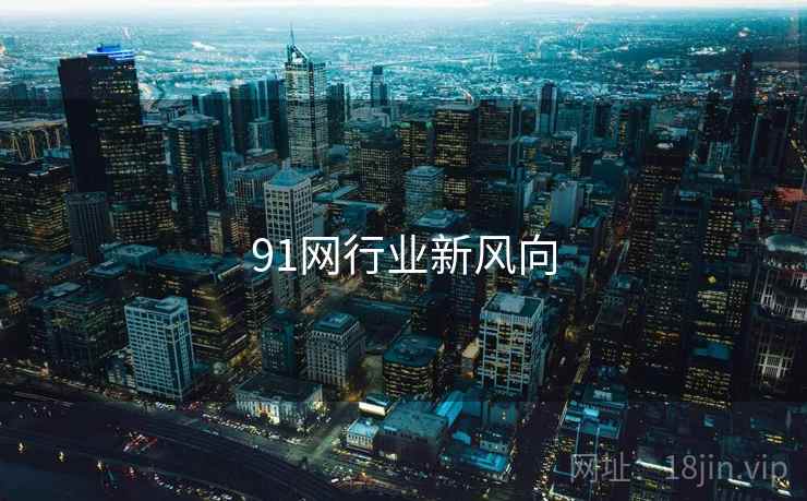 91网行业新风向  第1张