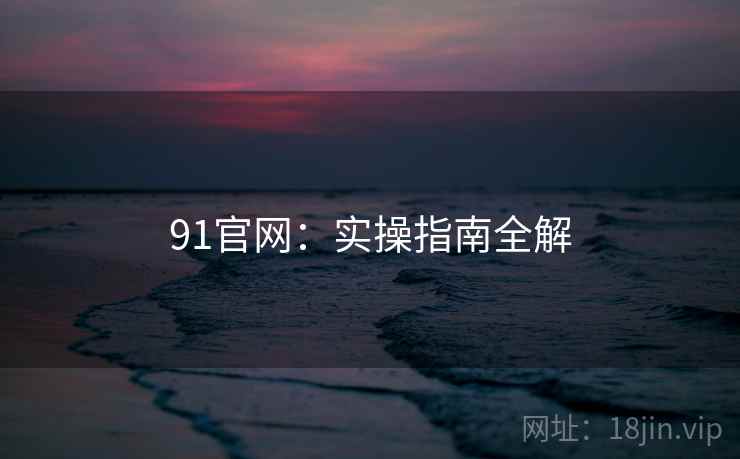 91官网：实操指南全解