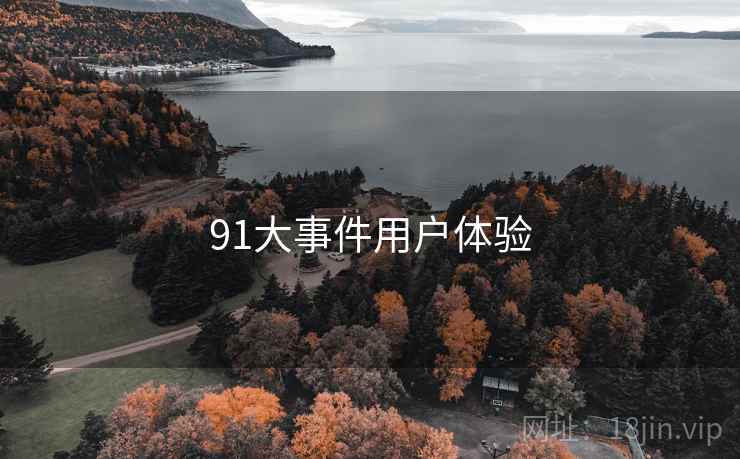 91大事件用户体验  第2张