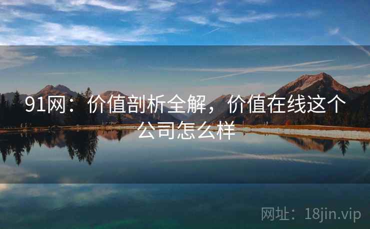 91网：价值剖析全解，价值在线这个公司怎么样  第2张