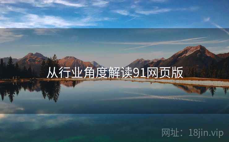 从行业角度解读91网页版  第1张