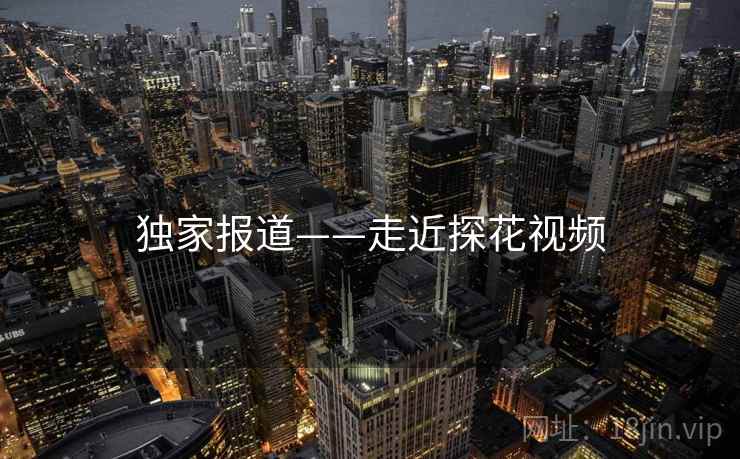 独家报道——走近探花视频  第1张