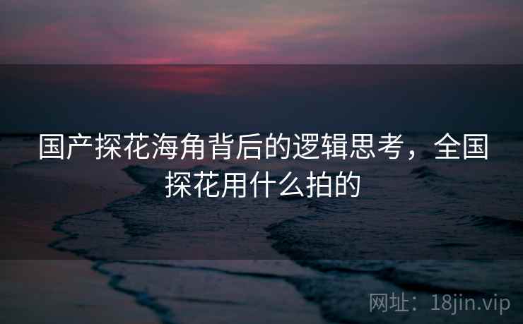 国产探花海角背后的逻辑思考，全国探花用什么拍的  第1张