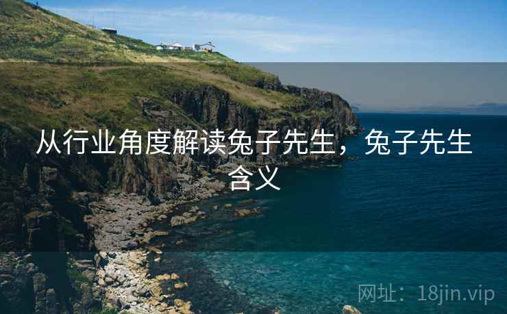 从行业角度解读兔子先生，兔子先生含义  第1张