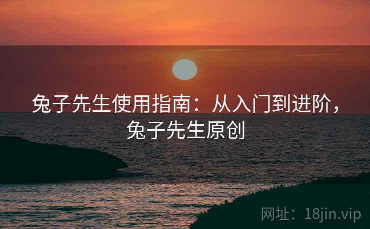 兔子先生使用指南：从入门到进阶，兔子先生原创  第1张