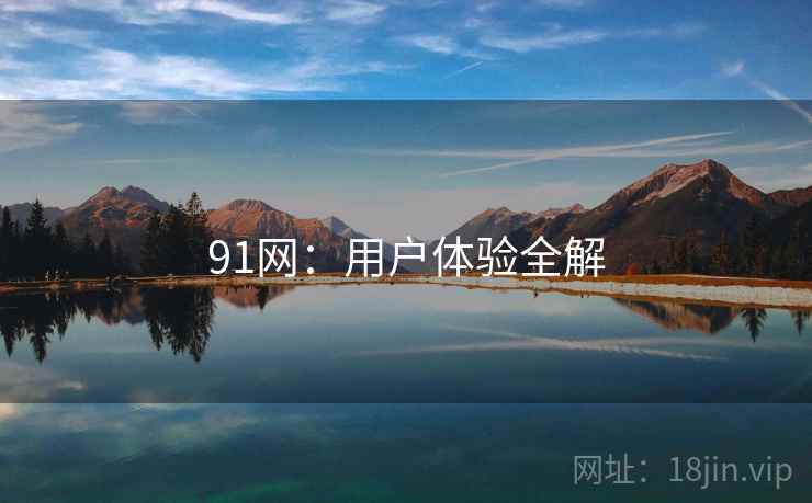 91网：用户体验全解  第2张