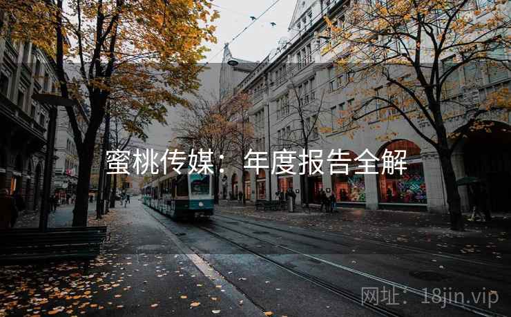蜜桃传媒：年度报告全解  第2张
