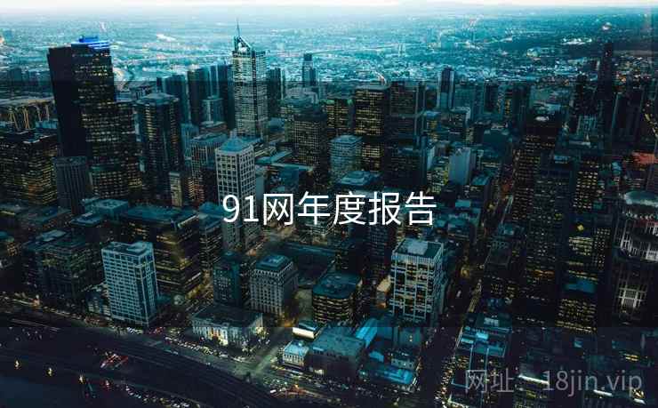 91网年度报告  第1张