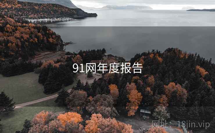 91网年度报告  第2张