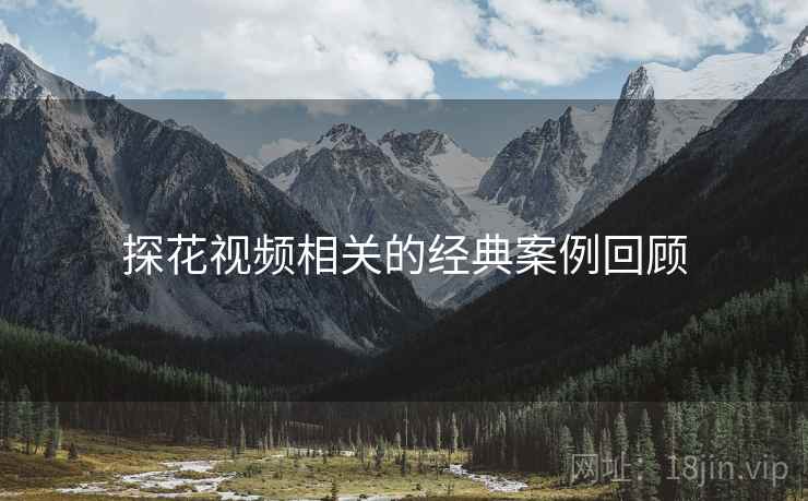 探花视频相关的经典案例回顾  第2张