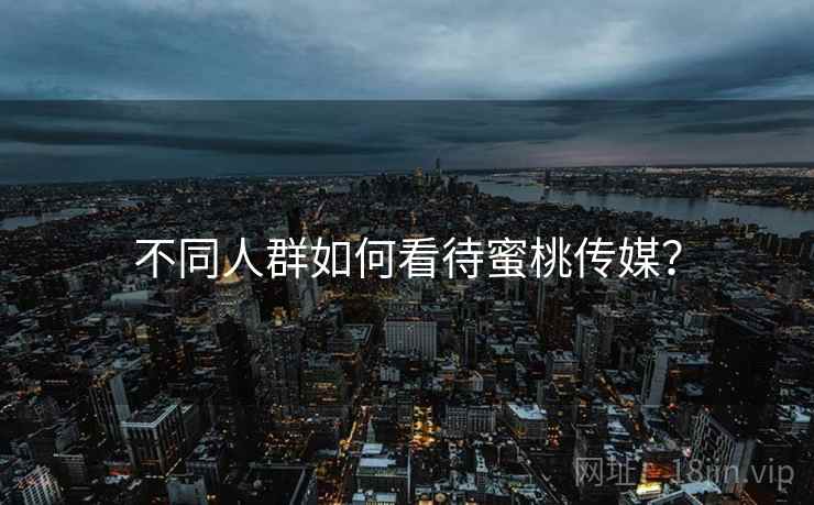 不同人群如何看待蜜桃传媒？  第2张