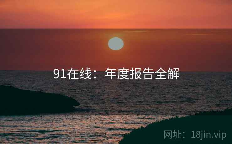 91在线：年度报告全解  第2张
