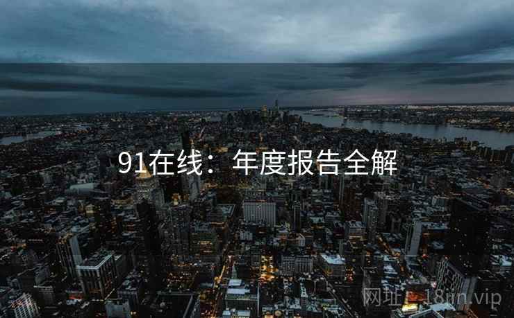 91在线：年度报告全解  第1张