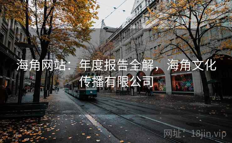 海角网站：年度报告全解，海角文化传播有限公司  第1张