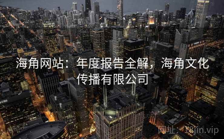 海角网站：年度报告全解，海角文化传播有限公司  第2张