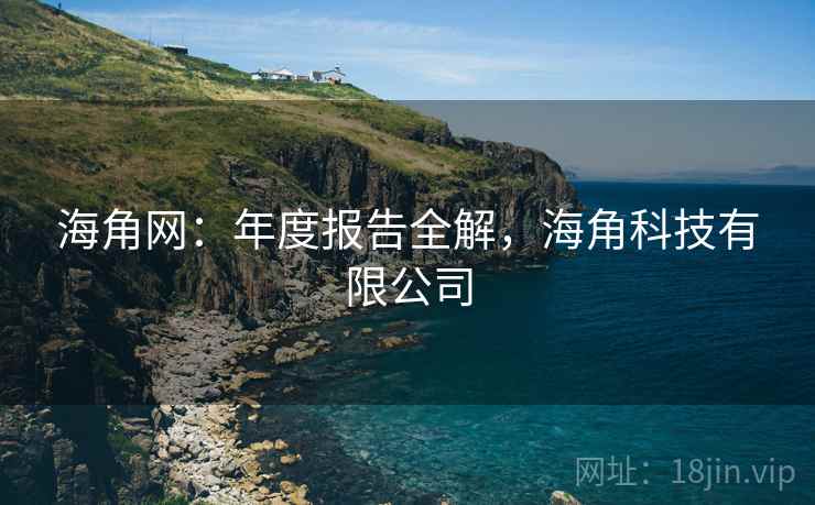 海角网：年度报告全解，海角科技有限公司  第2张