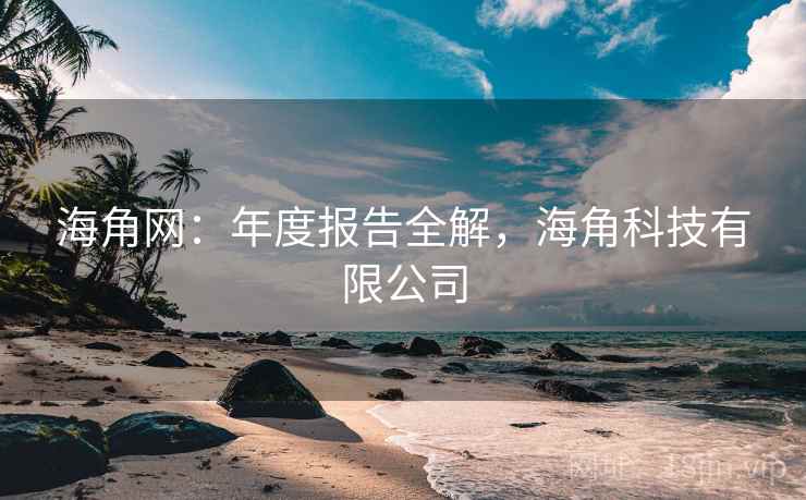 海角网：年度报告全解，海角科技有限公司  第1张