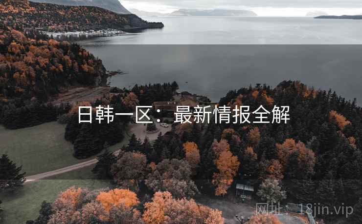 日韩一区：最新情报全解  第2张