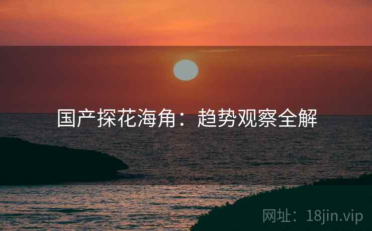 国产探花海角：趋势观察全解  第1张