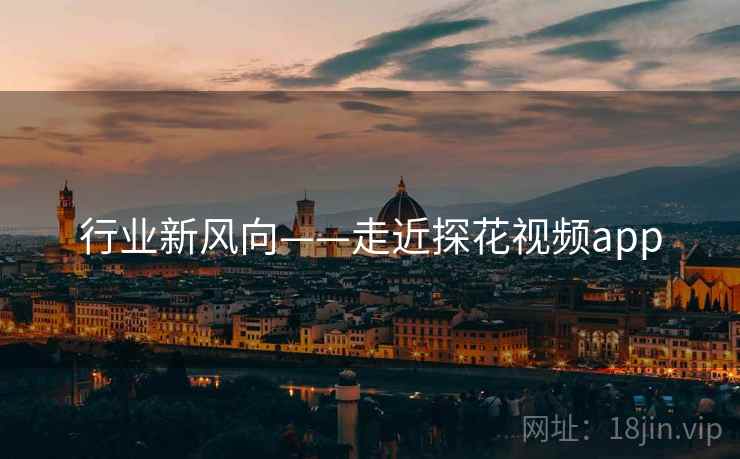 行业新风向——走近探花视频app  第1张