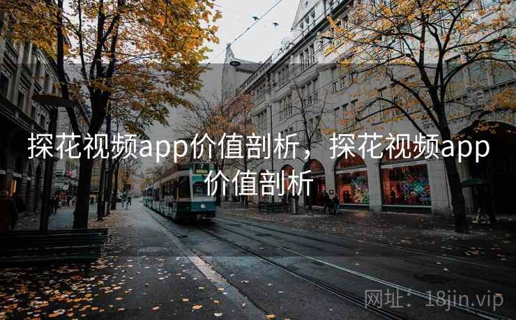 探花视频app价值剖析，探花视频app价值剖析  第1张