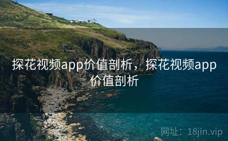 探花视频app价值剖析，探花视频app价值剖析  第2张