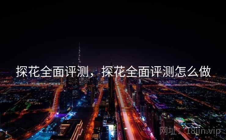 探花全面评测，探花全面评测怎么做  第1张