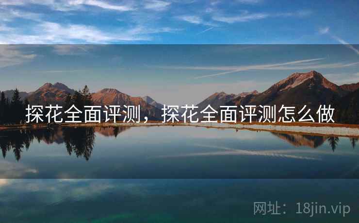 探花全面评测，探花全面评测怎么做  第2张
