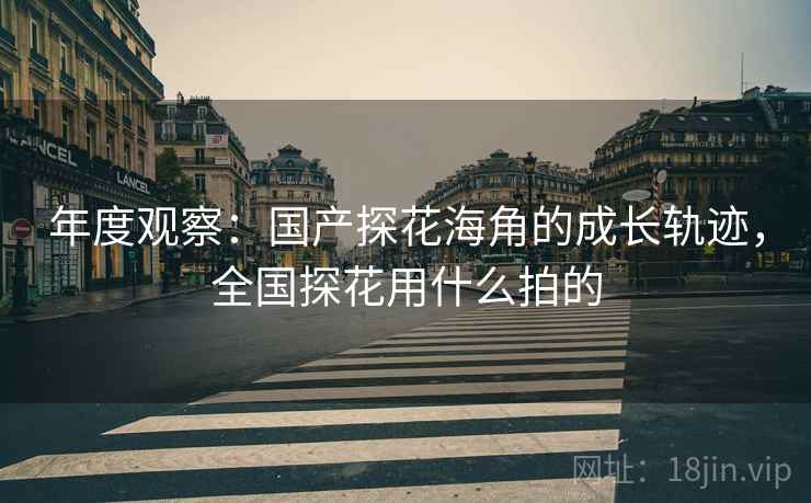 年度观察：国产探花海角的成长轨迹，全国探花用什么拍的  第1张