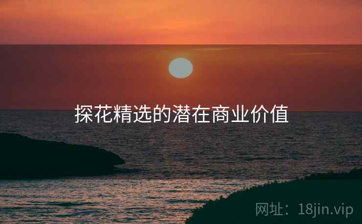 探花精选的潜在商业价值  第2张