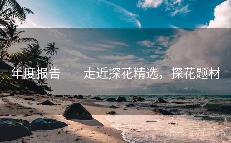 年度报告——走近探花精选，探花题材  第2张