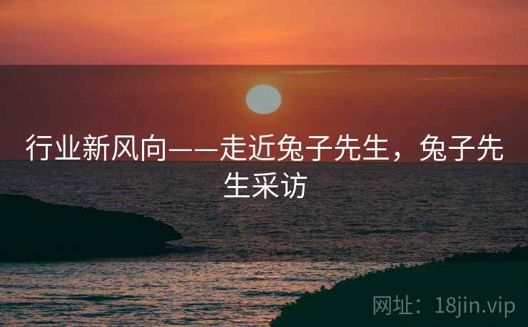 行业新风向——走近兔子先生，兔子先生采访  第1张