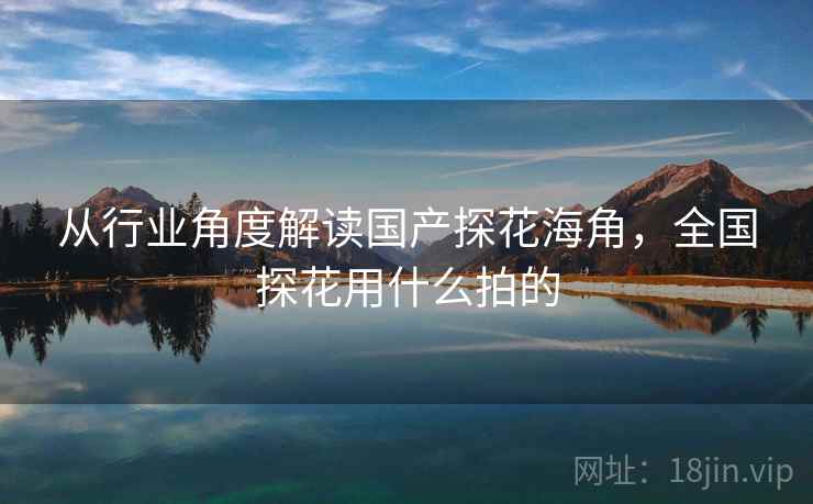 从行业角度解读国产探花海角，全国探花用什么拍的  第2张