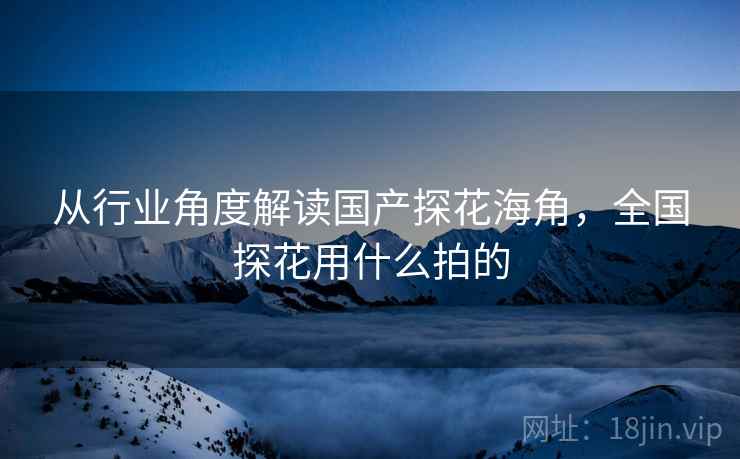 从行业角度解读国产探花海角，全国探花用什么拍的  第1张