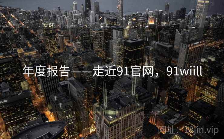 年度报告——走近91官网，91wiill  第2张