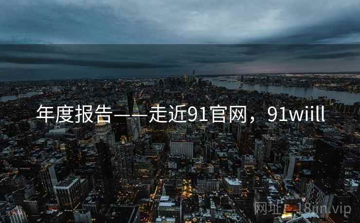年度报告——走近91官网，91wiill  第1张