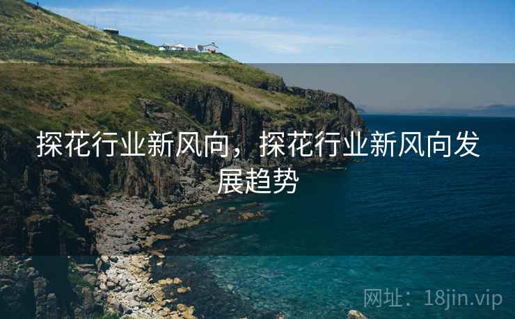 探花行业新风向，探花行业新风向发展趋势  第1张